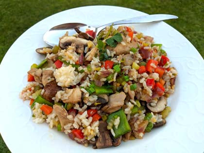 Teriyaki Fried Rice on the Mimi Moto